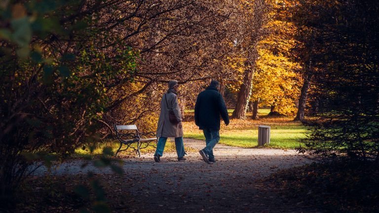 Zwei Menschen gehen gemeinsam einen herbstlichen Parkweg entlang